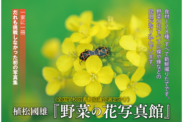 展覧会